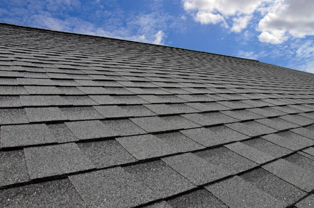 Best Green or Eco-Friendly Roofing Solutions  in USA